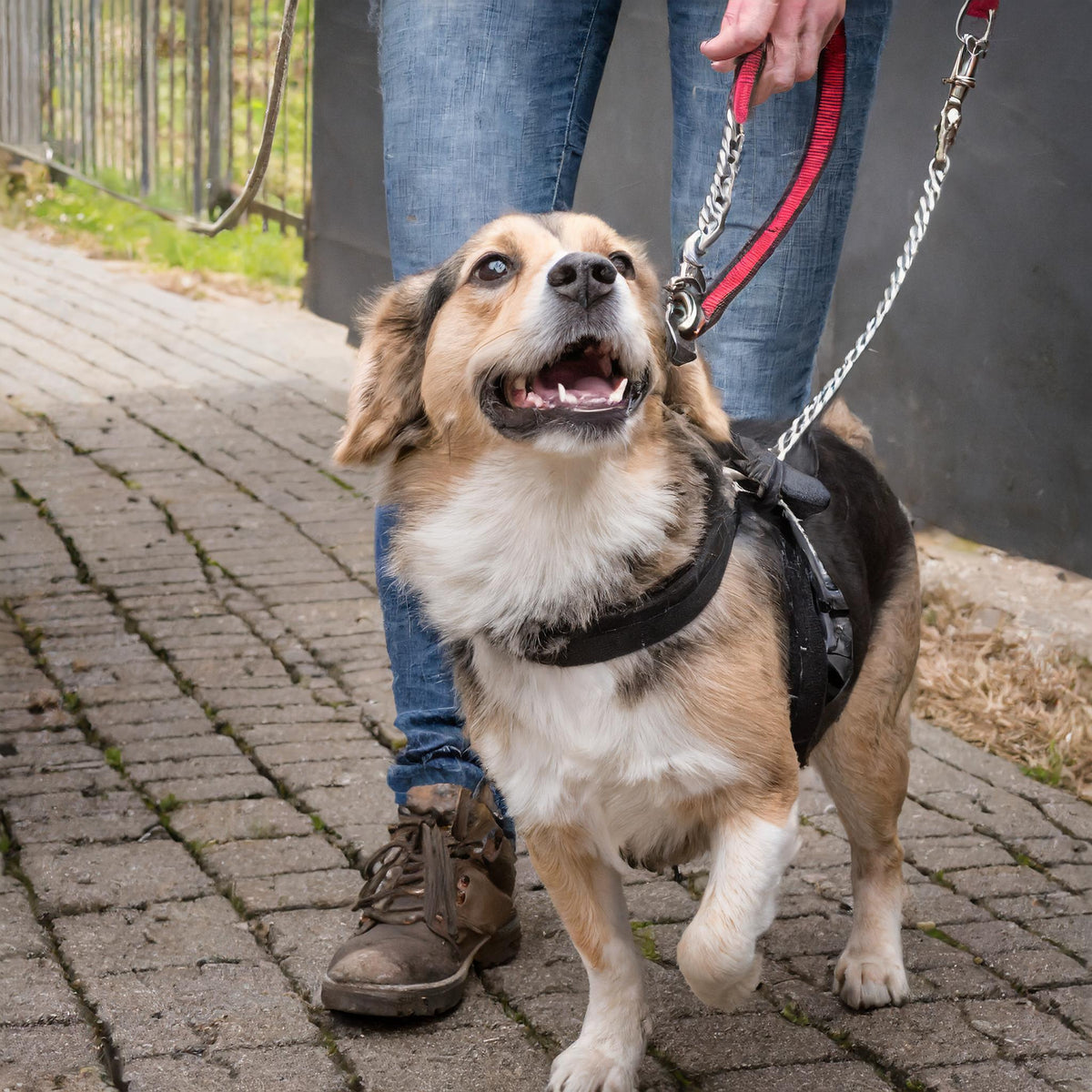 dogkit In training Do No Approach Space Awareness Sleeve voor reactieve nerveuze honden, reflecterende, waterdichte, dubbelzijdige instapper voor de hondenriem (geel, effen