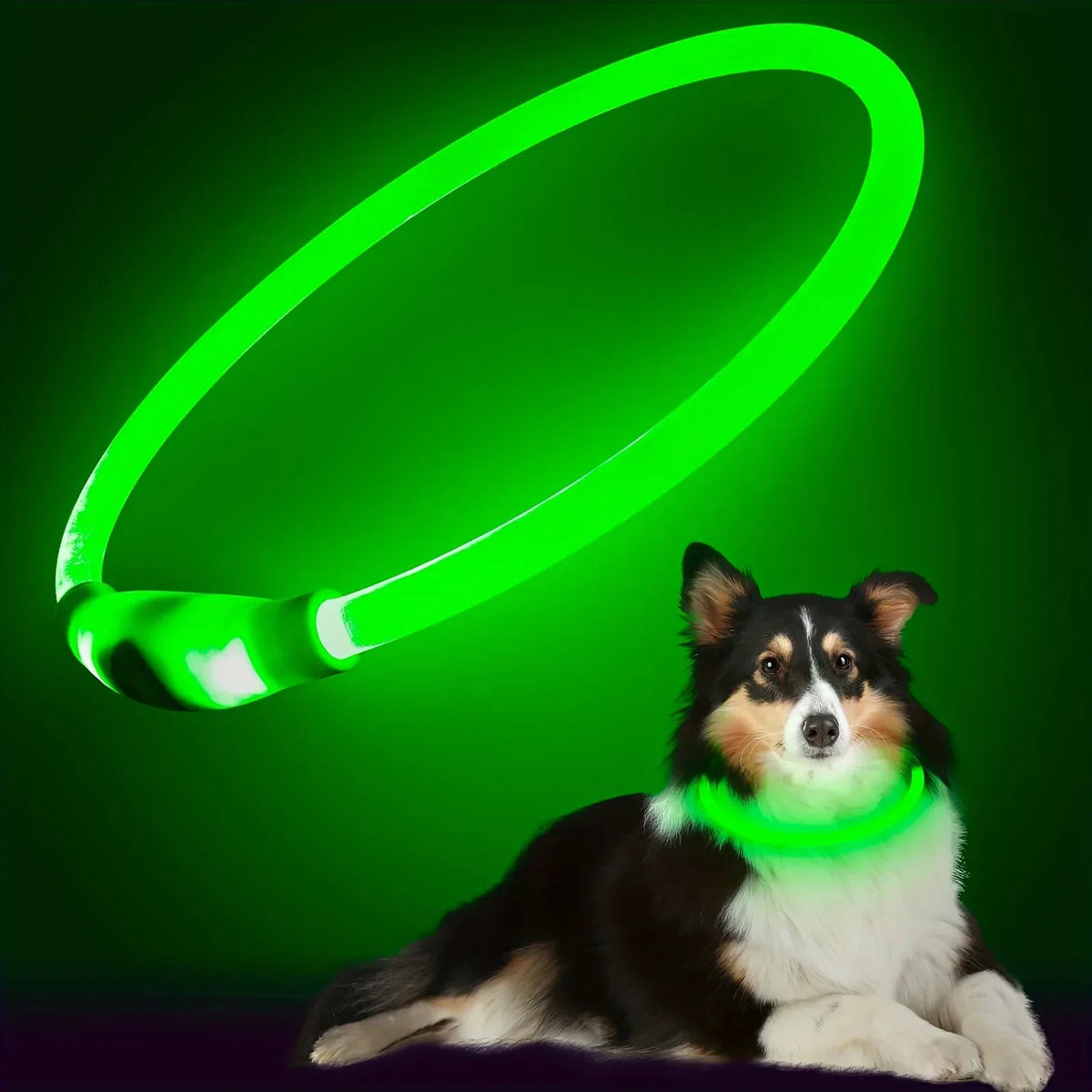 Led Hondenhalsband Oplaadbaar kopen