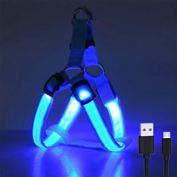 USB Oplaadbaar Lichtgevend Hondenharnas Geen Trekken LED Licht Nacht