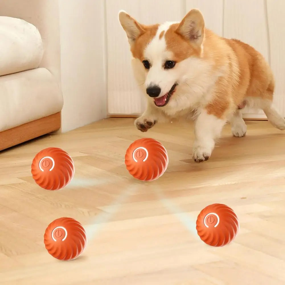 845569_3