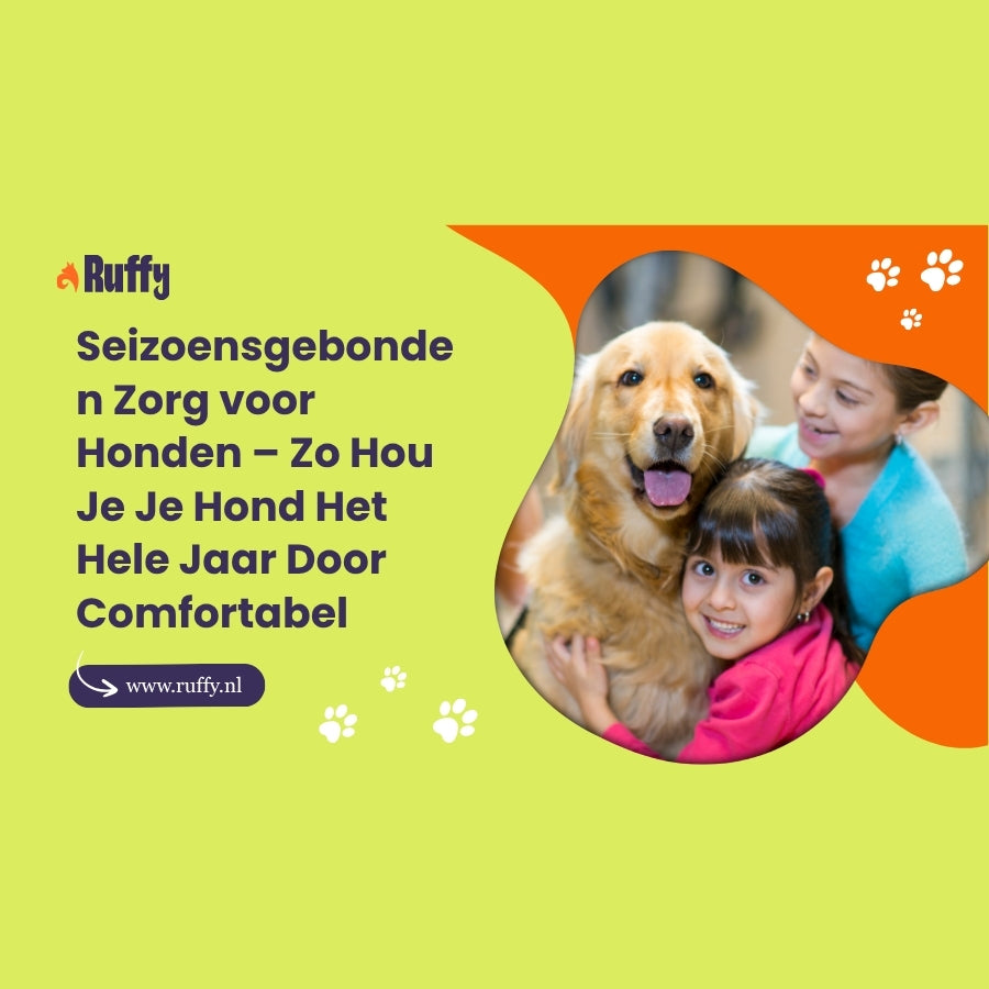 Seizoensgebonden Zorg voor Honden – Zo Hou Je Je Hond Het Hele Jaar Door Comfortabel - Ruffy