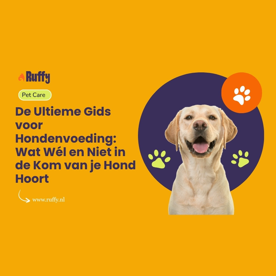 De Ultieme Gids voor Hondenvoeding: Wat Wél en Niet in de Kom van je Hond Hoort
