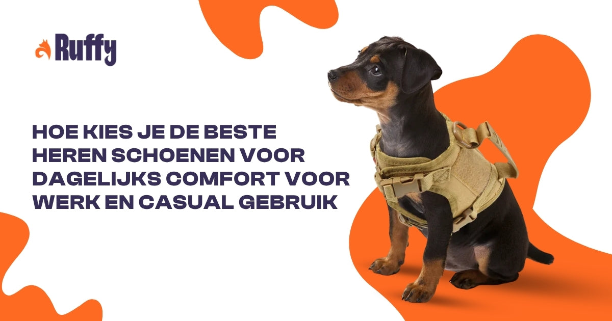 Hoe Kies Je de Beste Heren Schoenen voor Dagelijks Comfort voor Werk en Casual Gebruik | Prime Lifts