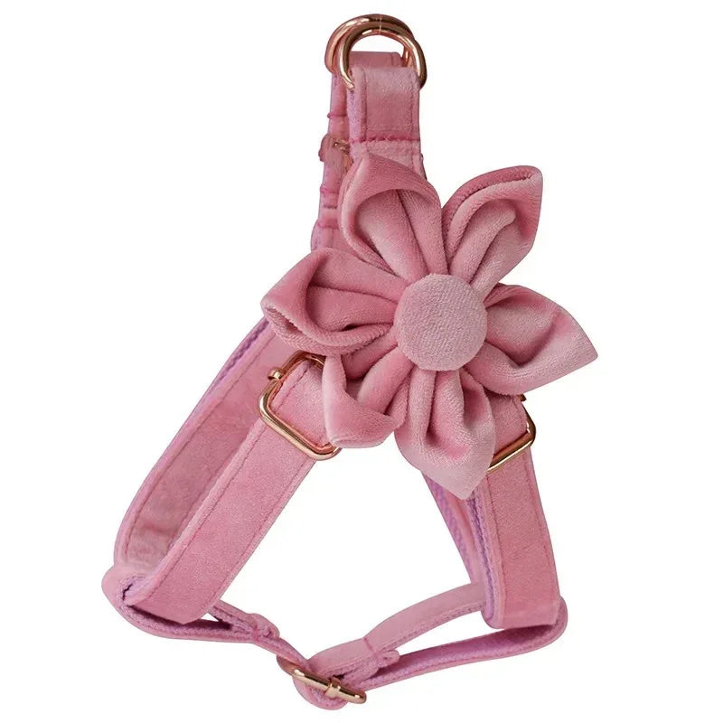 Stijlvolle Bloemmotief Hondenset Met Halsband, Harnas, Riem en Bloemenaccessoire - Ruffy