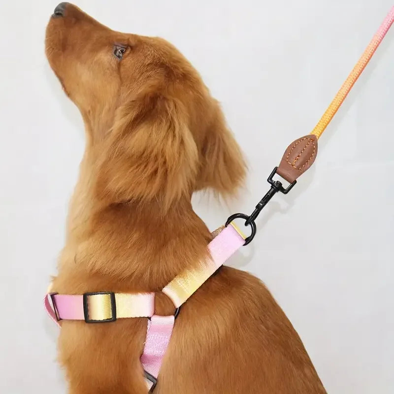 Ergonomisch Hondenharnas Met Riem Verbeterd Comfort Verstelbare Pasvorm Duurzaam Polyester Levendige Kleuren - Ruffy