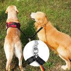 Dubbele Hondenriem | Dubbele Honden Wandeling | Klitvrijcontrol | Nylon, 100 cm - Ruffy