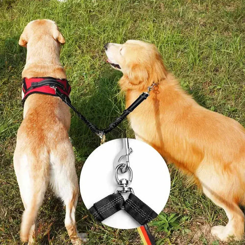 Dubbele Hondenriem | Dubbele Honden Wandeling | Klitvrijcontrol | Nylon, 100 cm - Ruffy
