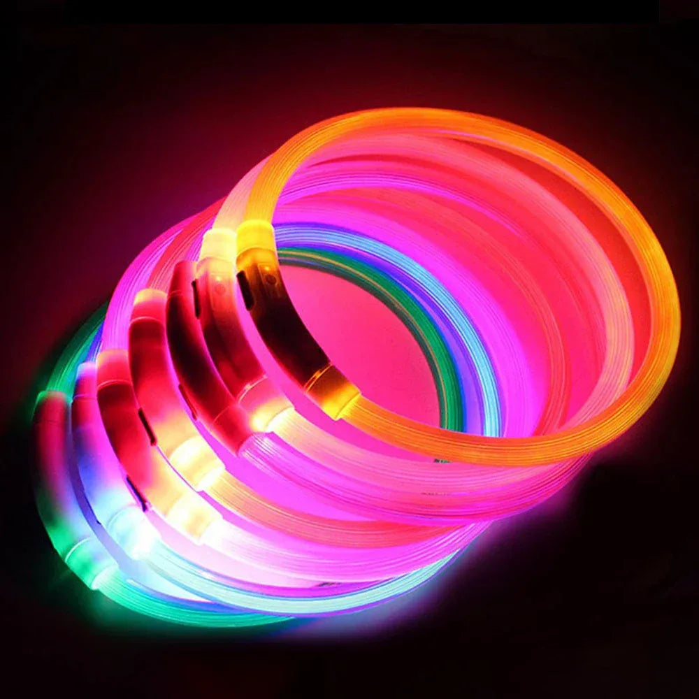 Oplaadbare LED-halsband Waterdicht Verstelbaar 50 cm voor nachtelijke veiligheid en zichtbaarheid - Ruffy