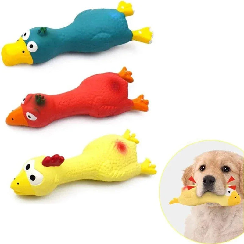 Veilig piepend hondenspeelgoed Rubber Kip 100% Natuurlijke Latex 16.8cm voor kleine rassen - Ruffy