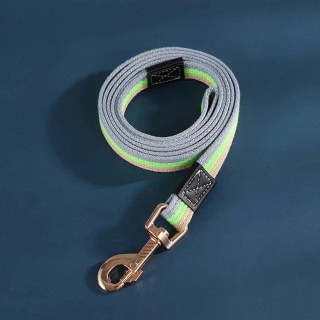 Duurzame nylon hondenriem met snelsluiting en veelzijdig ontwerp voor alle maten en seizoenen - Ruffy