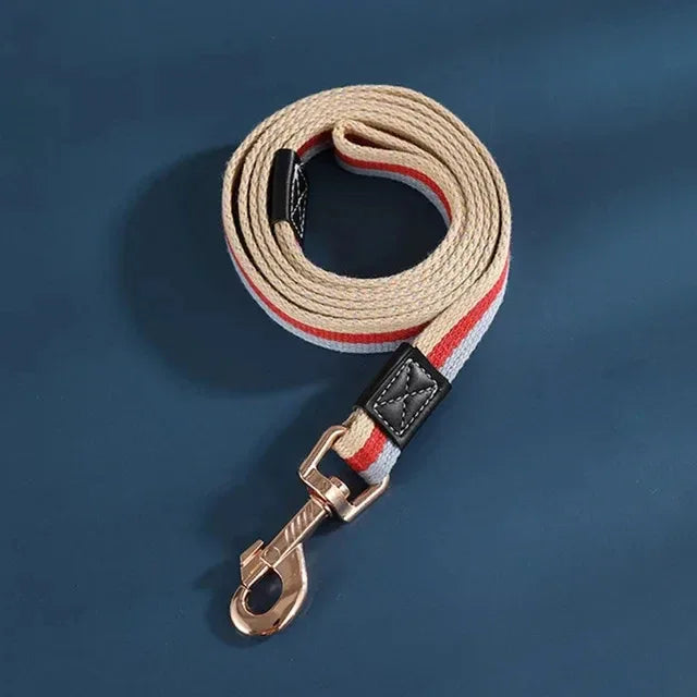 Duurzame nylon hondenriem met snelsluiting en veelzijdig ontwerp voor alle maten en seizoenen - Ruffy