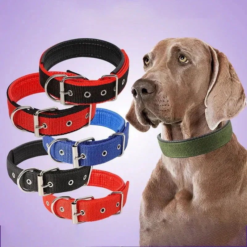 Verstelbare Halsband met Zachte Schuimvulling Duurzaam Nylon voor Comfort en Veelzijdigheid voor Honden en Katten - Ruffy