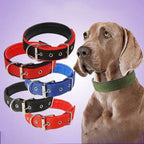 Verstelbare Halsband met Zachte Schuimvulling Duurzaam Nylon voor Comfort en Veelzijdigheid voor Honden en Katten - Ruffy