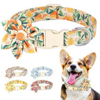 Verstelbare nylon hondenhalsband met levendige bloemenprints Duurzaam en comfortabel voor alle rassen - Ruffy