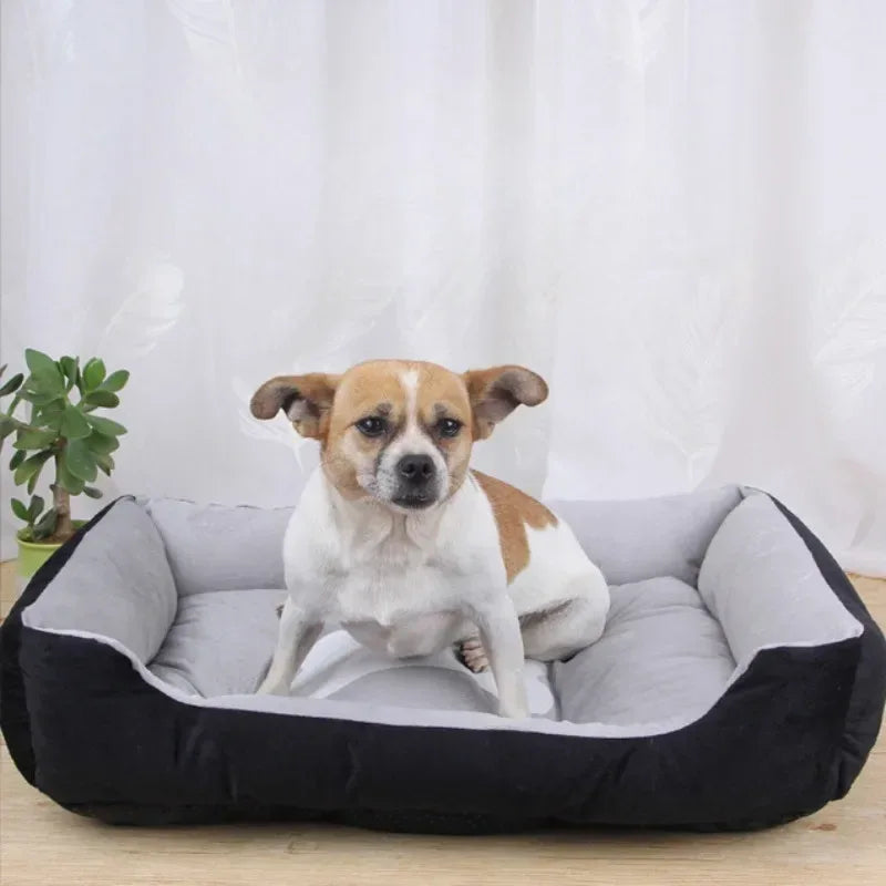 Duurzaam huisdierenbed met zachte vulling Eenvoudig te reinigen nylon materiaal voor kleine tot grote honden en katten - Ruffy