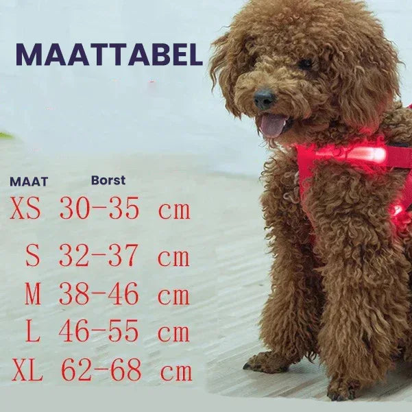 Hondentuig Lichtgevend USB Oplaadbaar - Ruffy