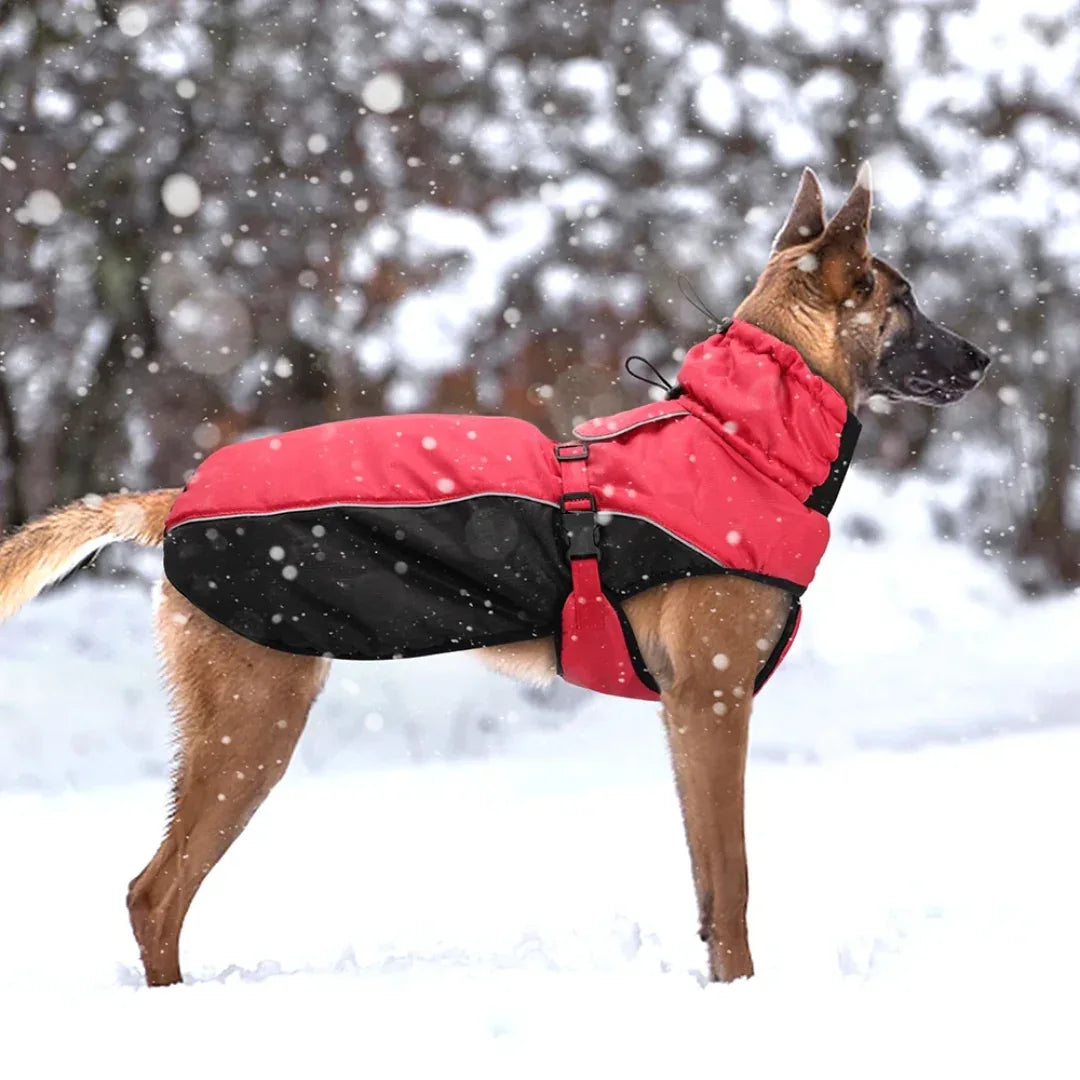 Waterdichte Winterjas Voor Grote Honden Warm Gewatteerd Reflecterend Volledige Dekking Machinewasbaar - Ruffy