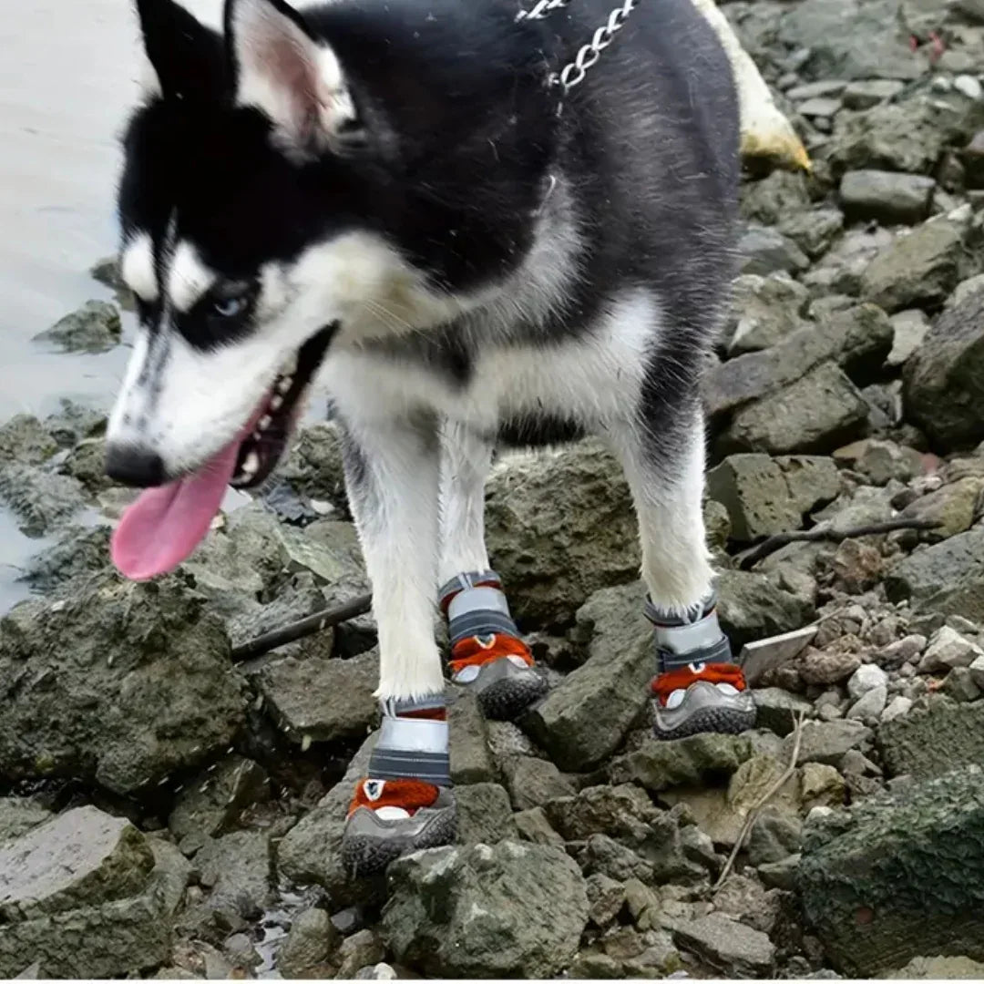 Hondenlaarzen | Waterdichte Rubberen Zool | Anti-Slip Bescherming - Ruffy