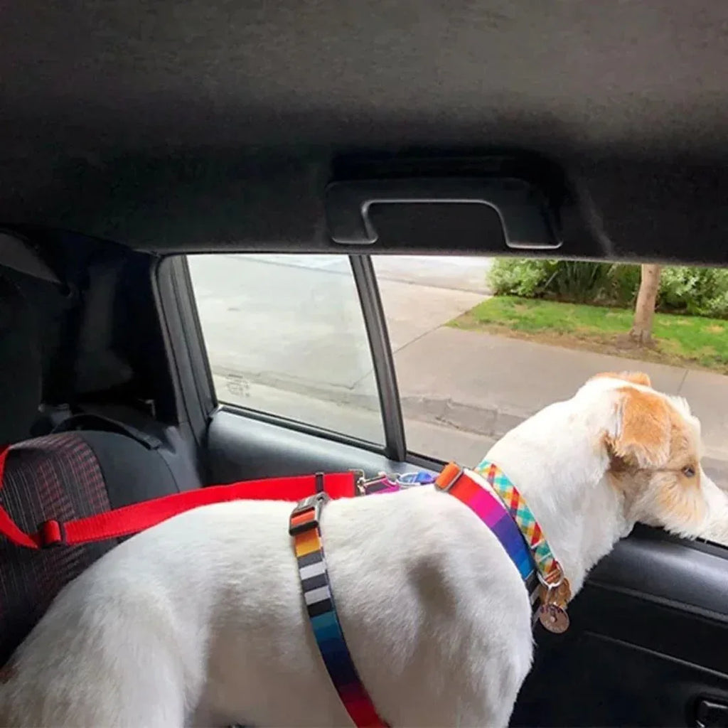 Verstelbare Autogordel Voor Huisdieren Veilig Duurzaam Dubbele Functie Als Riem Voor Rijden en Wandelen - Ruffy