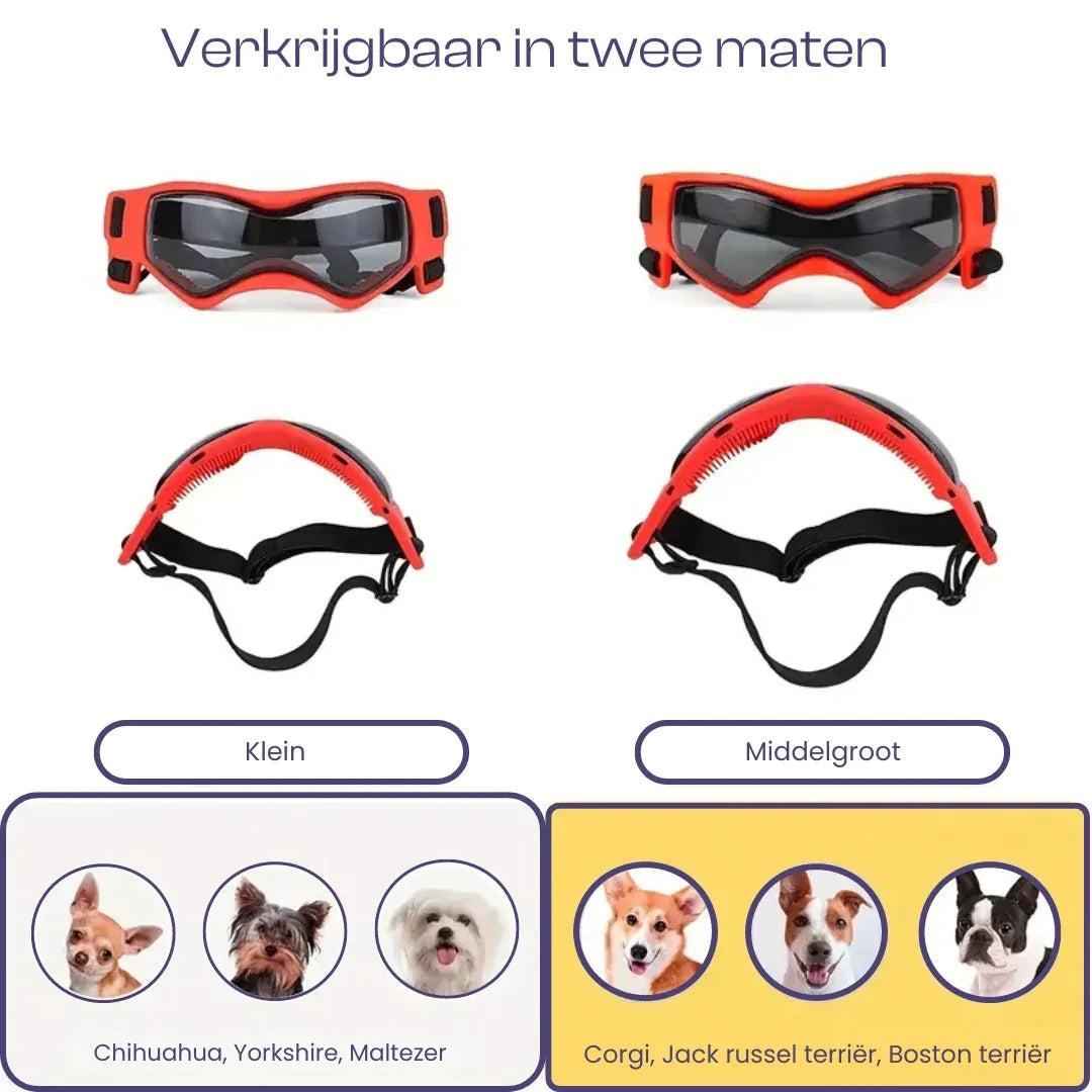 Hond UV-bescherming Brillen - Ruffy