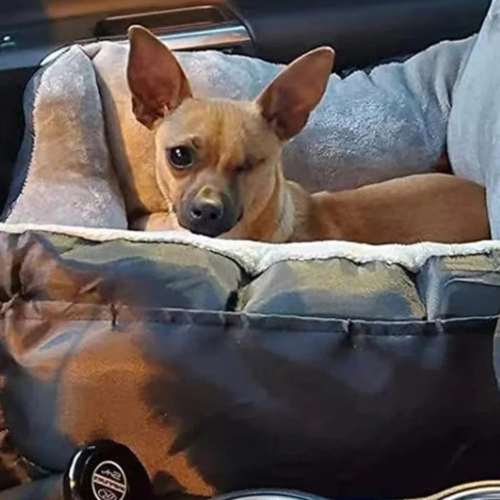 Afneembare Zitting Voor Honden Veilig Comfortabel Wasbaar Beschermt Auto Tegen Vuil en Haar Voor Autoritten - Ruffy