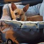 Afneembare Zitting Voor Honden Veilig Comfortabel Wasbaar Beschermt Auto Tegen Vuil en Haar Voor Autoritten - Ruffy
