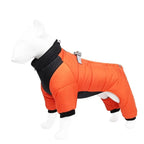 Reflecterende Waterdichte Winter Jumpsuit Voor Franse Bulldogs Warm Veilig Duurzaam Met Harnas - Ruffy