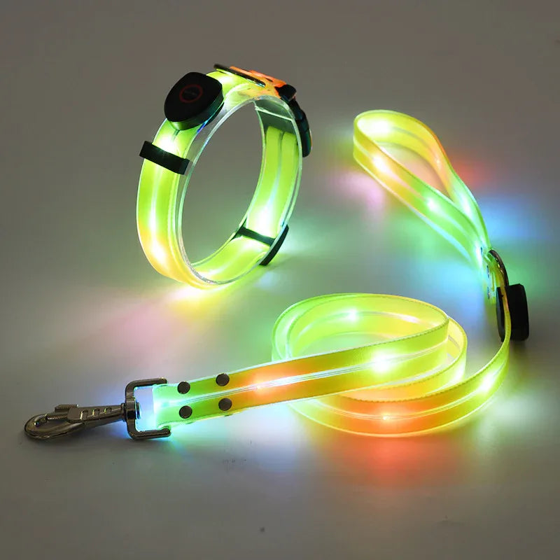 LED-Up Leash Verlichte Hondenriem USB Oplaadbaar Veilig Zichtbaar Duurzaam PVC Ergonomisch Handvat - Ruffy