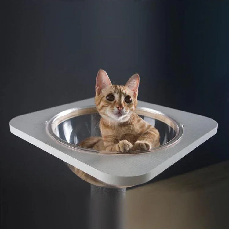 Kattencapsule met Klimrek Massief Hout Transparant Design Comfortabel en Ruimtebesparend - Ruffy