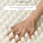 Luxe Traagschuim Hondenbed Pluche Comfort Orthopedisch Afneembare Wasbare Hoes Antislipbasis - Ruffy