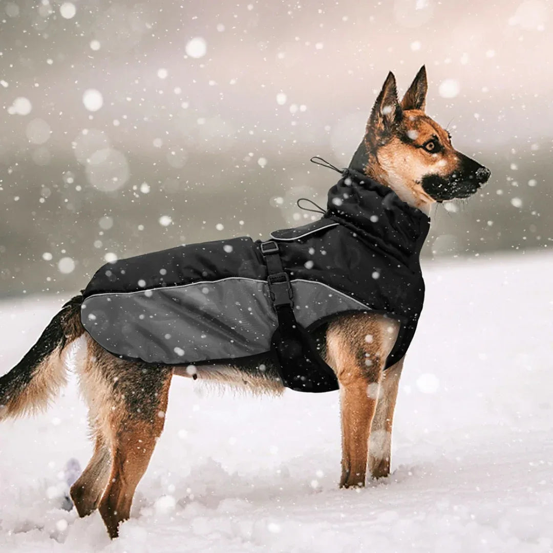 Waterdichte Winterjas Voor Grote Honden Warm Gewatteerd Reflecterend Volledige Dekking Machinewasbaar - Ruffy