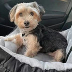 Afneembare Zitting Voor Honden Veilig Comfortabel Wasbaar Beschermt Auto Tegen Vuil en Haar Voor Autoritten - Ruffy