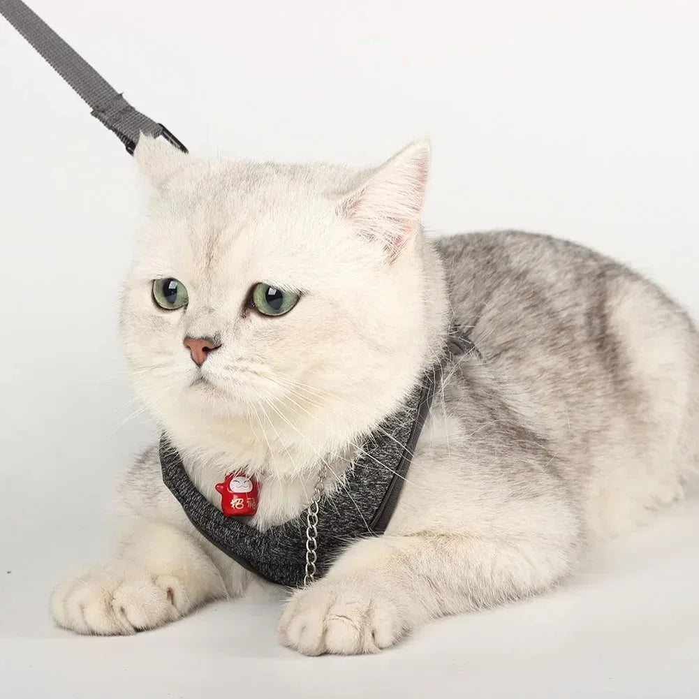 Luxe verstelbaar kattentuigje met bijpassende riem – Stijlvol en comfortabel voor dagelijkse wandelingen - Ruffy