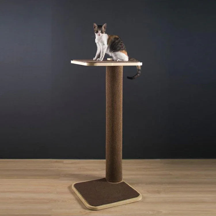 Kattencapsule met Klimrek Massief Hout Transparant Design Comfortabel en Ruimtebesparend - Ruffy