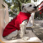 Hondentractievest Ademend Lichtgewicht Comfortabel Perfect Voor Lente en Zomer Buitenavonturen - Ruffy