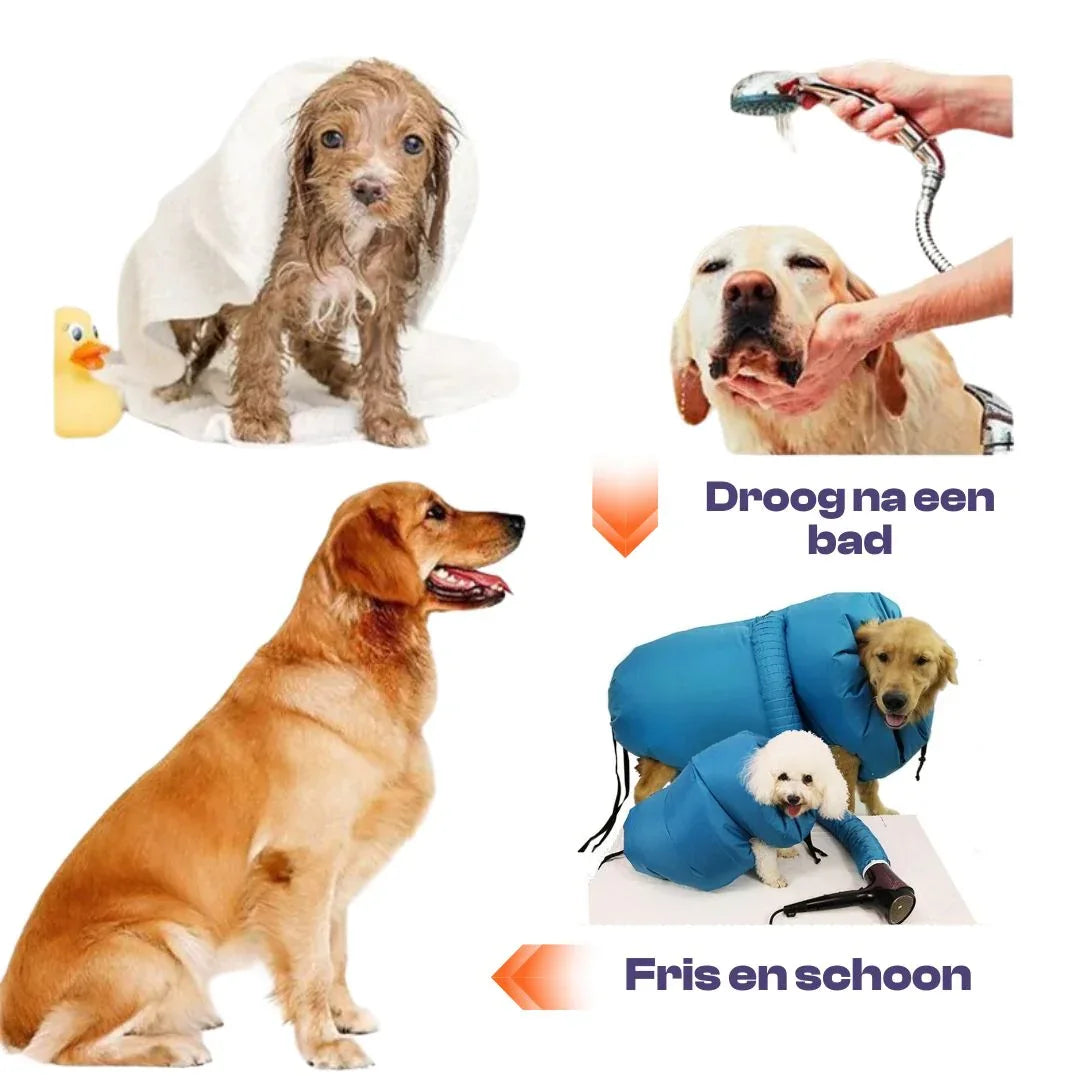 Draagbare Hondenhaardrogerset Efficiënt en Compleet met Borstels en Opzetstukken - Ruffy
