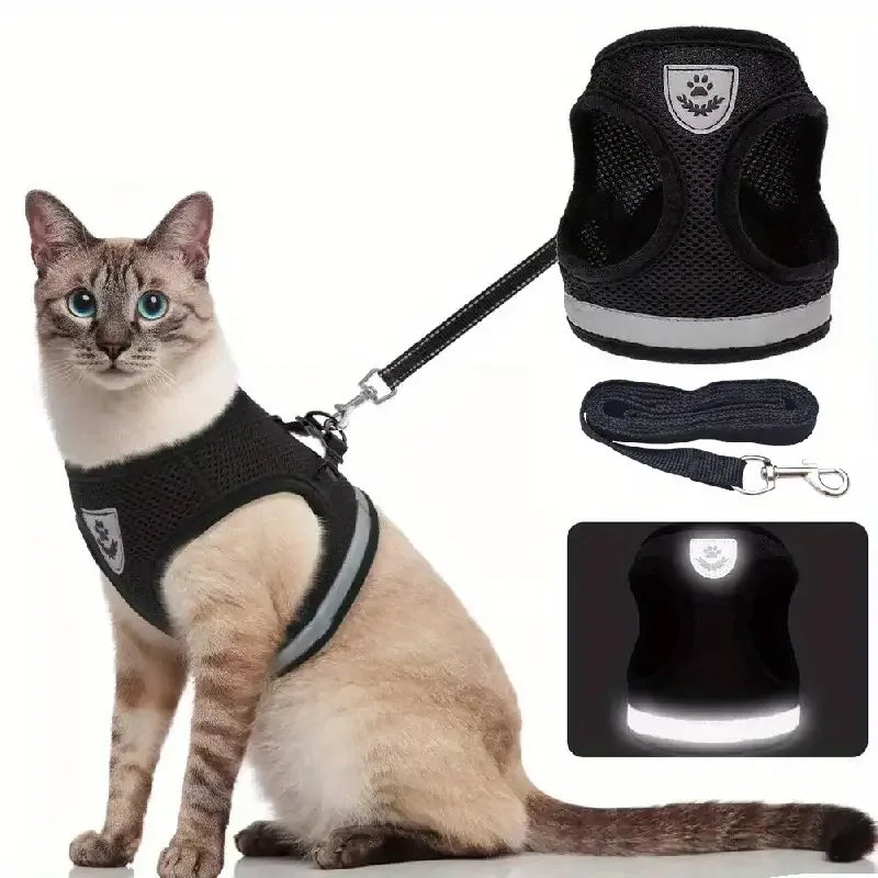 Houd je Kat Koel en Comfortabel tijdens Buitenavonturen - Ruffy