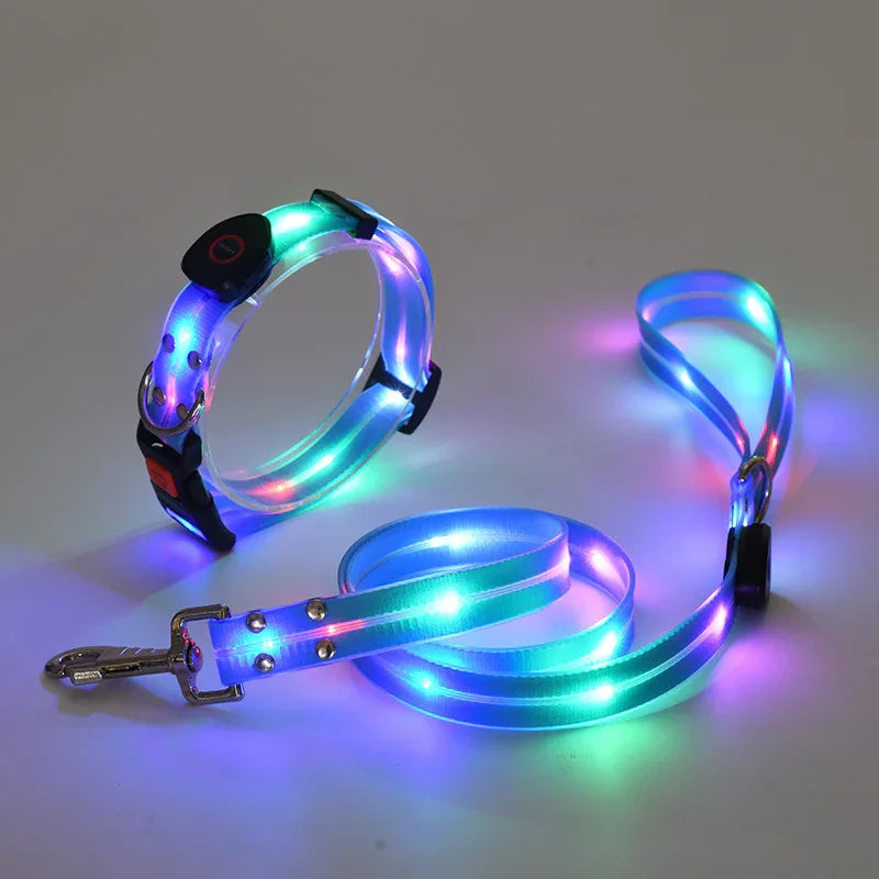 LED-Up Leash Verlichte Hondenriem USB Oplaadbaar Veilig Zichtbaar Duurzaam PVC Ergonomisch Handvat - Ruffy