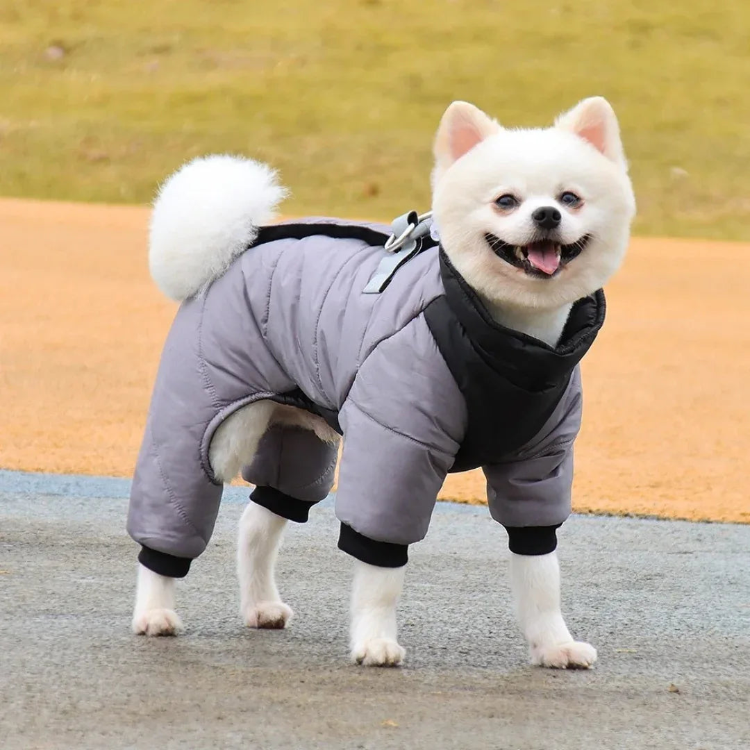 Reflecterende Waterdichte Winter Jumpsuit Voor Franse Bulldogs Warm Veilig Duurzaam Met Harnas - Ruffy