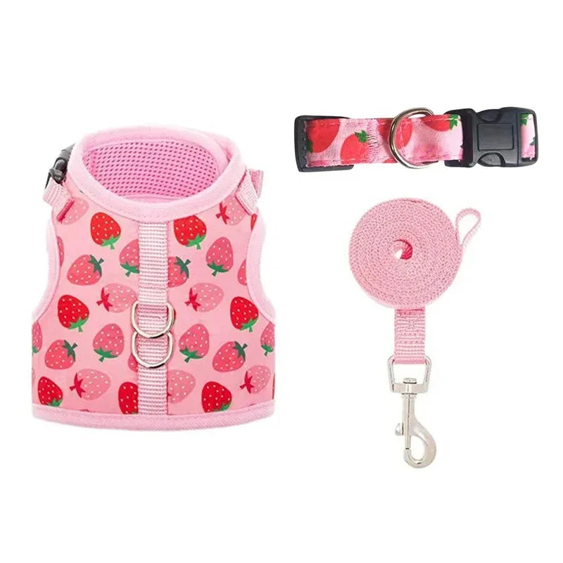 Harnas Kraag Escape Proof Tuig En Leiband Set Ademend Kitten Puppy Kleine Honden Borst Vest Geen Pull - Ruffy