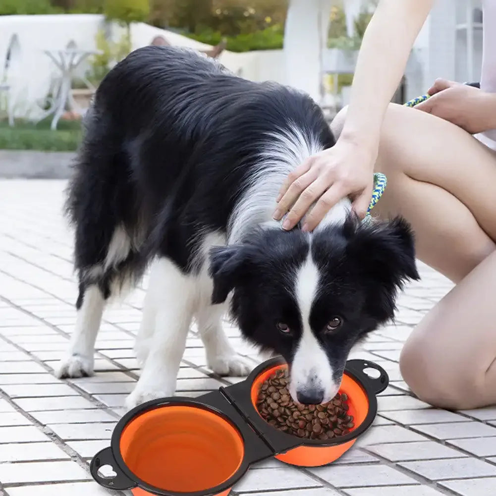 Honden Opvouwbare Voerbak En DrinkBak In 1 - Ruffy