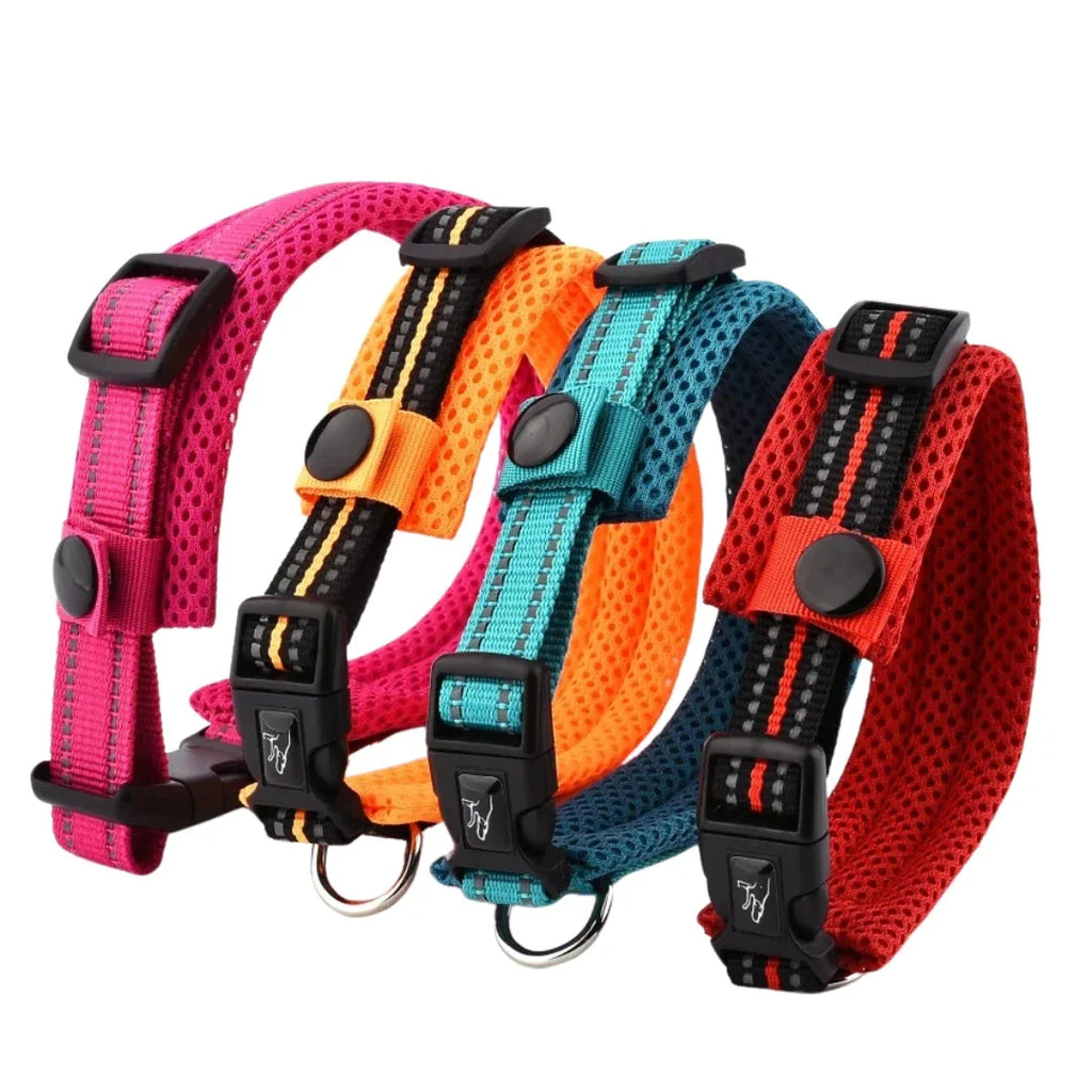 Verstelbare Gevoerde Reflecterende Nylon Hondenhalsband Comfortabel Duurzaam Veilig Voor Training en Wandelingen - Ruffy