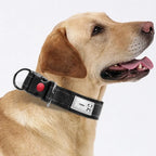 Reflecterende Nylon Halsband Zacht Gewatteerd Verstelbaar Veilig Voor Alle Hondenmaten - Ruffy