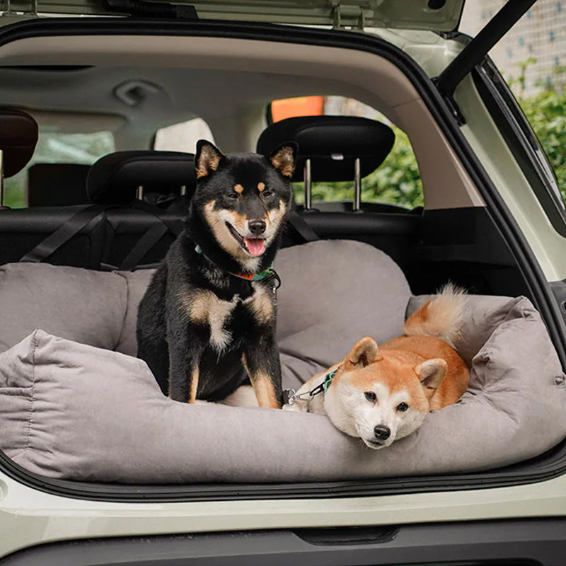 auto hond