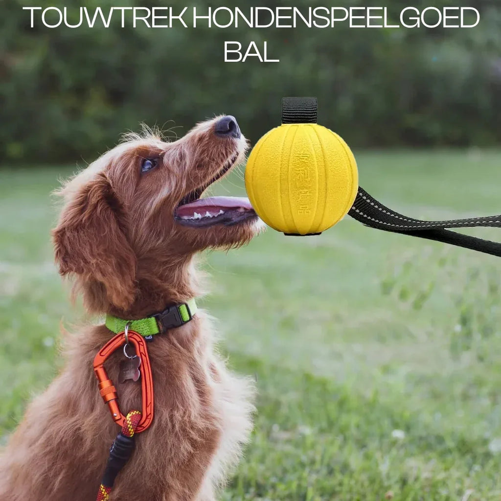 Hondentraining Rubber Bal met Touw - Ruffy
