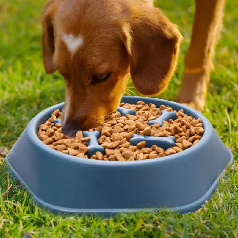 Langzaam voedende hondenbak met antislipbodem voor middelgrote honden Interactief doolhofontwerp Vaatwasmachinebestendig - Ruffy