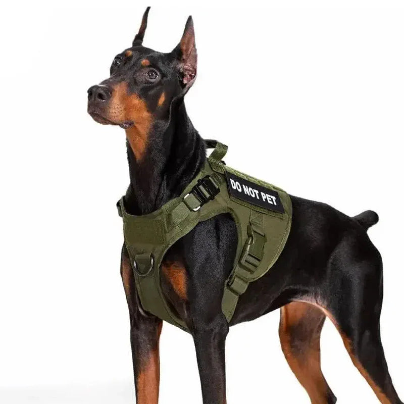 Duurzaam Molle-Systeem Hondenharnas – Robuust 1050D Nylon met Verbeterde Controle en Snelontgrendelbare Gespen - Ruffy