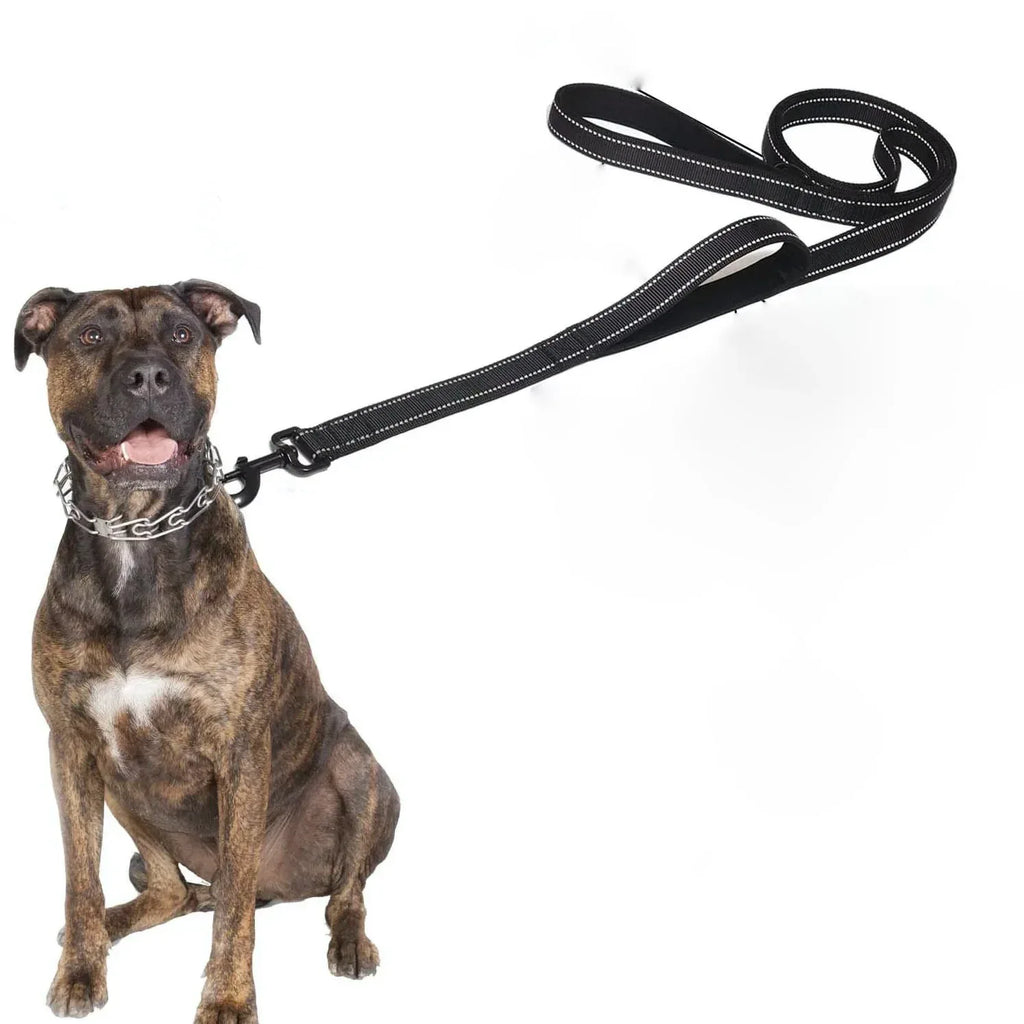 sterke Reflecterende Hondenriem - Ruffy