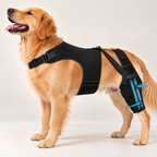 FlexSupport™ Orthopedische Kniebrace voor Honden