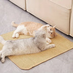 Katten Krabmat van Sisal Beschermt Meubels Duurzaam Gezond Krabgedrag Beschikbaar in S M L - Ruffy